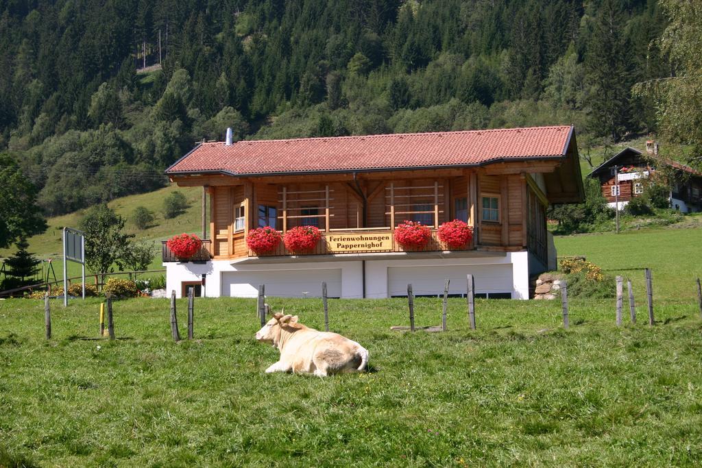 Ferienwohnung Suntinger Iselsberg Cameră foto